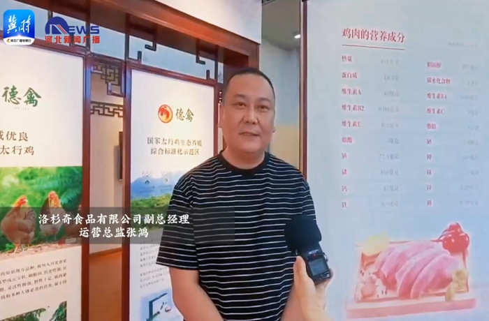 河北廣播電視臺冀時客戶端：老字號 新國潮 | 百年金鳳振翅飛：一只扒雞的守正創新路
